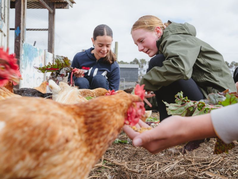 Common Ground Project partnership