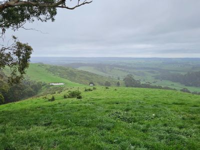 Dewing Creek catchment restoration