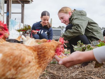 Community Grants Program